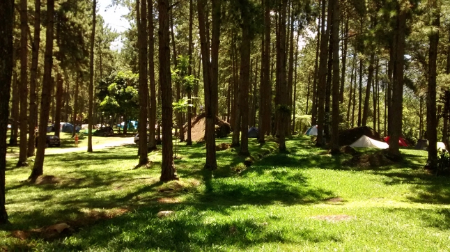 camping da Serrinha, bastante arborizado e sobreado